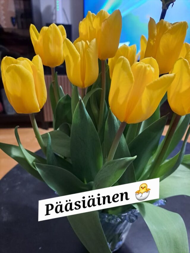 Pääsiäinen tulossa 🐥📍Vastaanotto suljettu 6.4.
📍6.4 ei ohjattua tuntiaKulkulätkällä pääset treenaamaan päivittäin klo 6.00 - 22.00Nähdään salilla 💪#pääsiäinen
#treeni